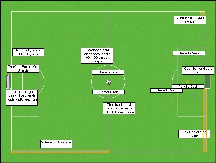 Field Layout